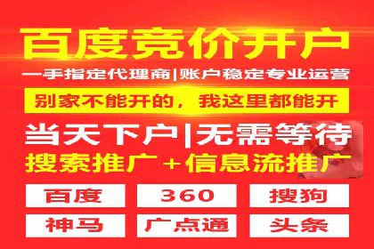 解析SEM竞价代运营公司的技术实力与服务优势